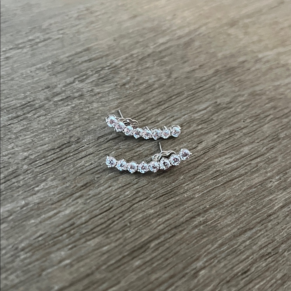 Elegant Silver Crystal Earrings
